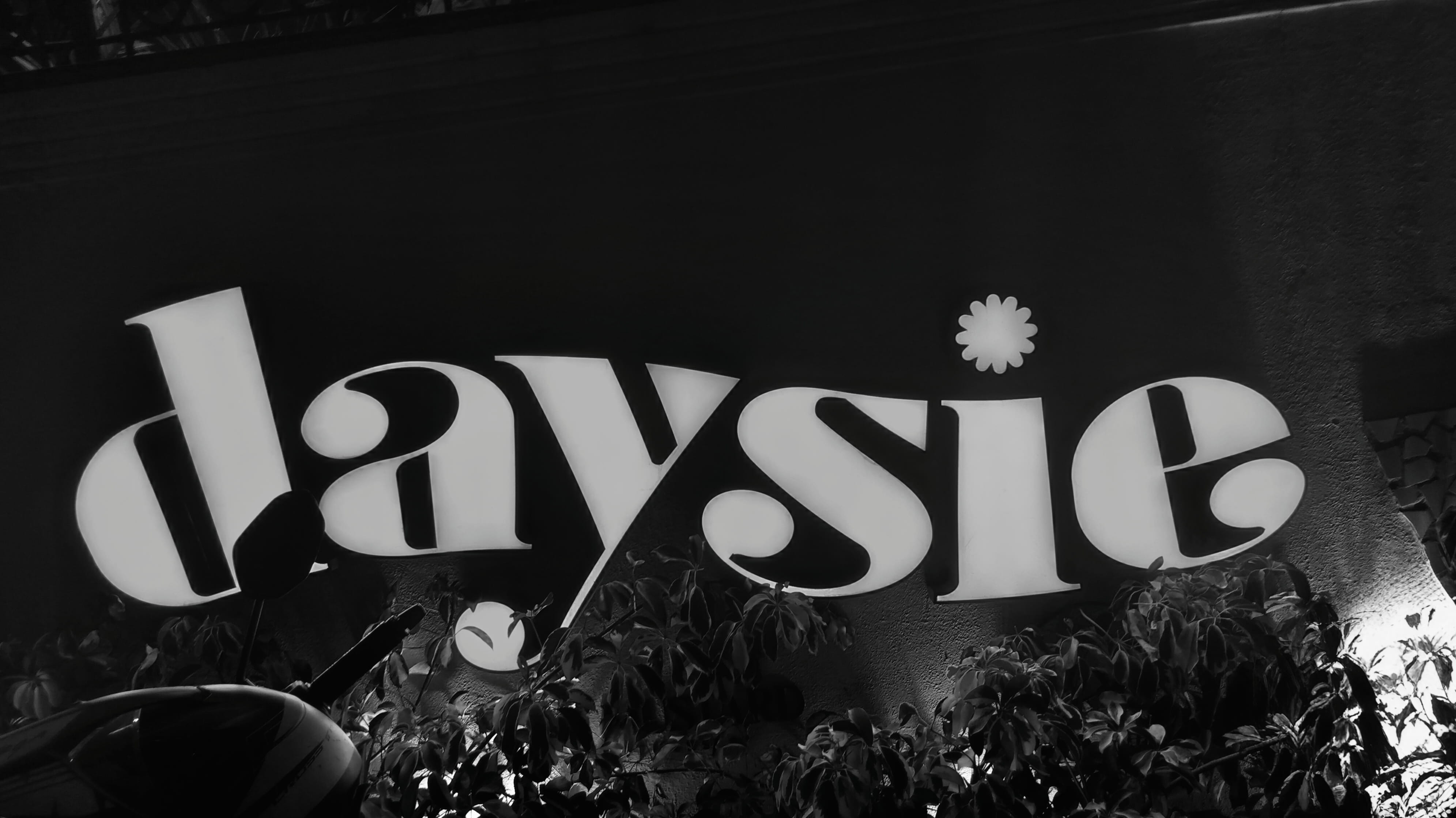 A backlit Daysie sign with a daisy on the letter i, framed by foliage and a parked scooter